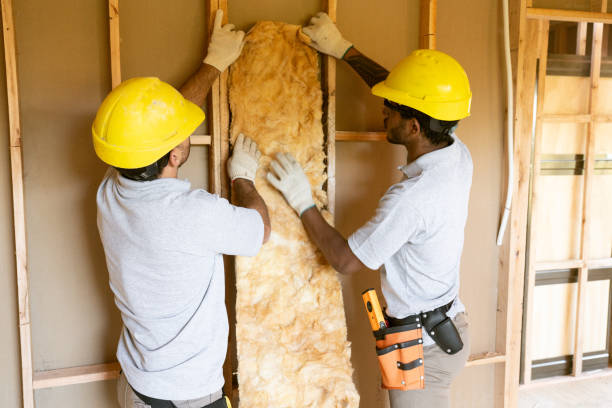 Best Wall Insulation Installation  in Forrest, IL