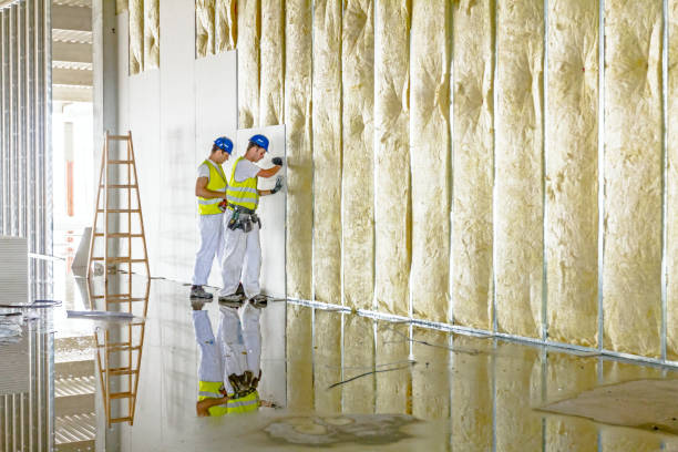 Types of Insulation We Offer in Forrest, IL